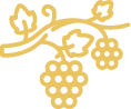 icono viñedo